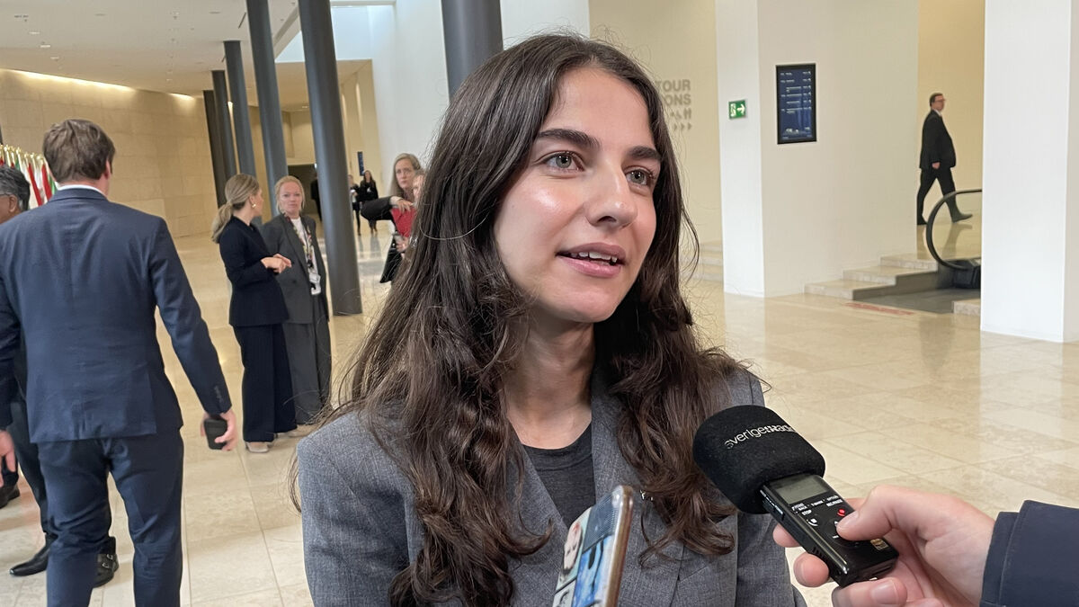 EU Faces Delays on Climate