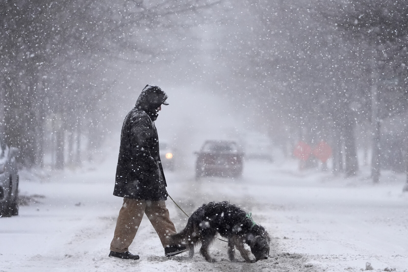 Snow paralyzes parts of the USA