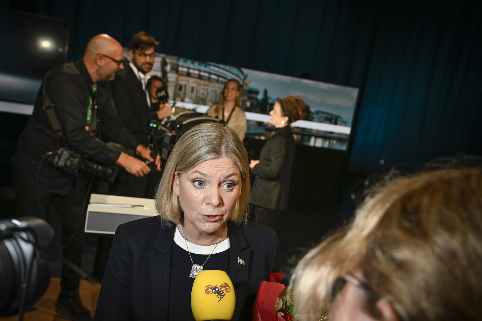 Social Democrats Question Need for Sweden's National Security Adviser