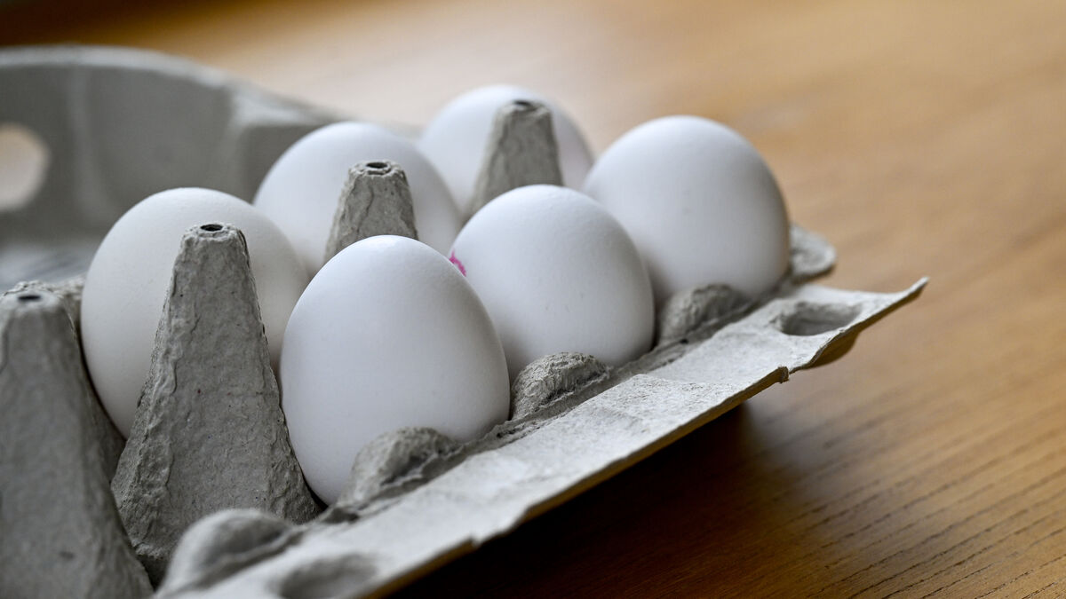 Coop recalls own-brand eggs - risk of salmonella