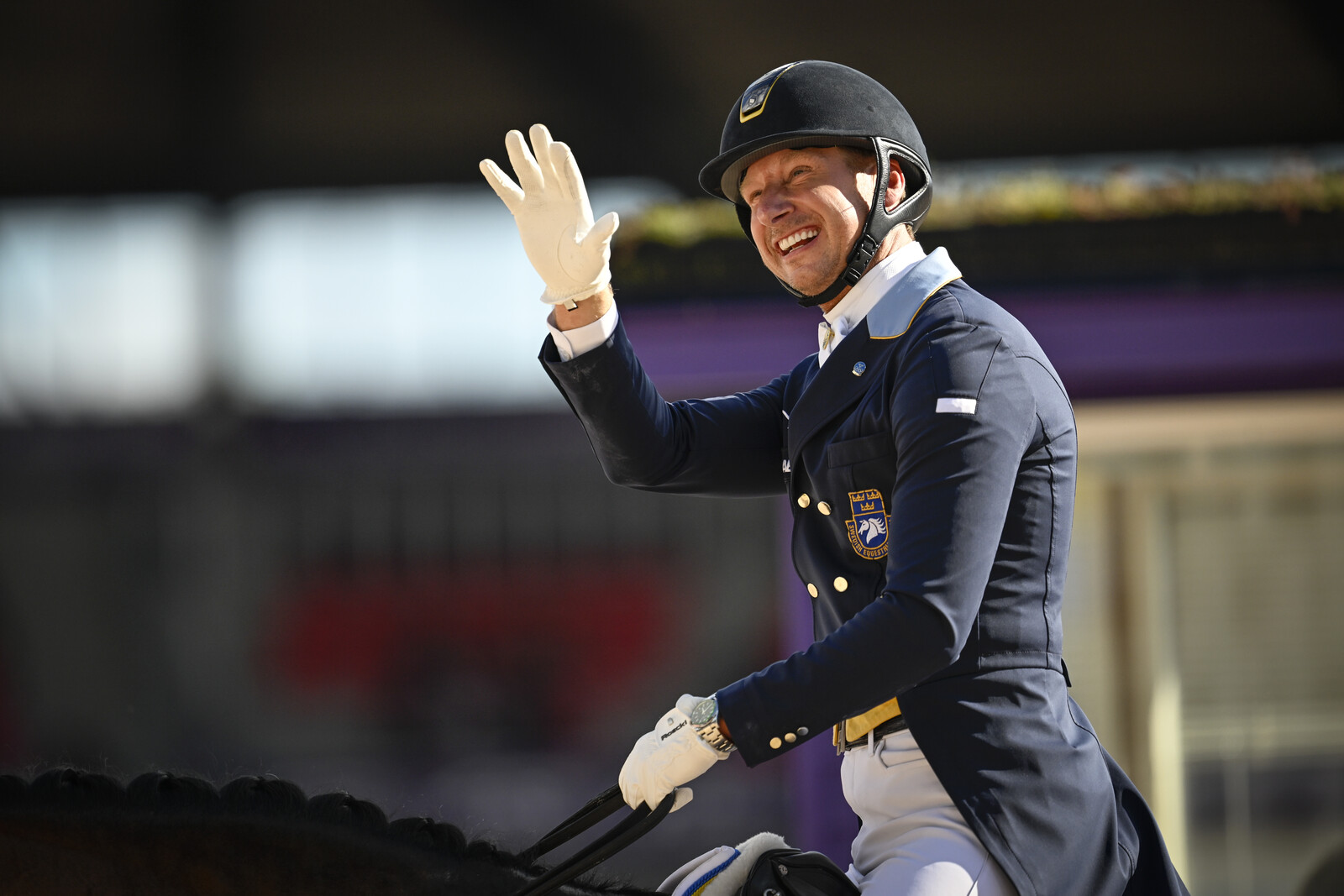 Kittel Achieves Sixth Place in European Dressage Championship