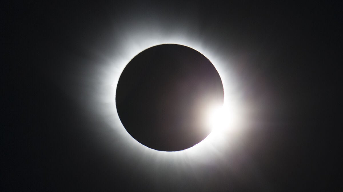 Jellyfish, heatwave and solar eclipse push up European electricity prices