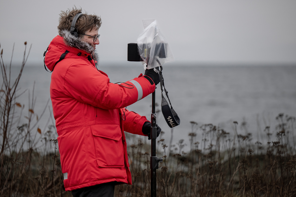 The Film Industry Wants To Change The Rules For Support Sweden Herald the-film-industry-wants-to-change-the-rules-for-support-sweden-herald