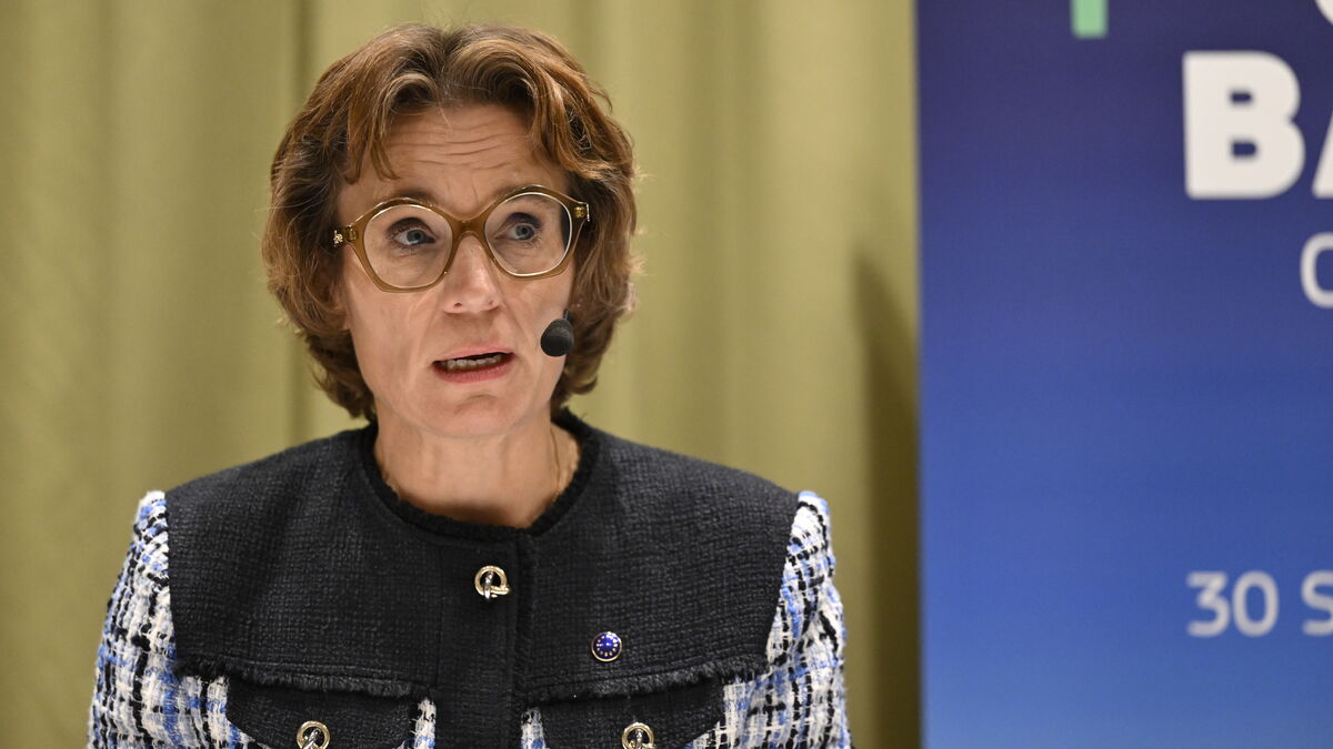 EU environment commissioner warns climate