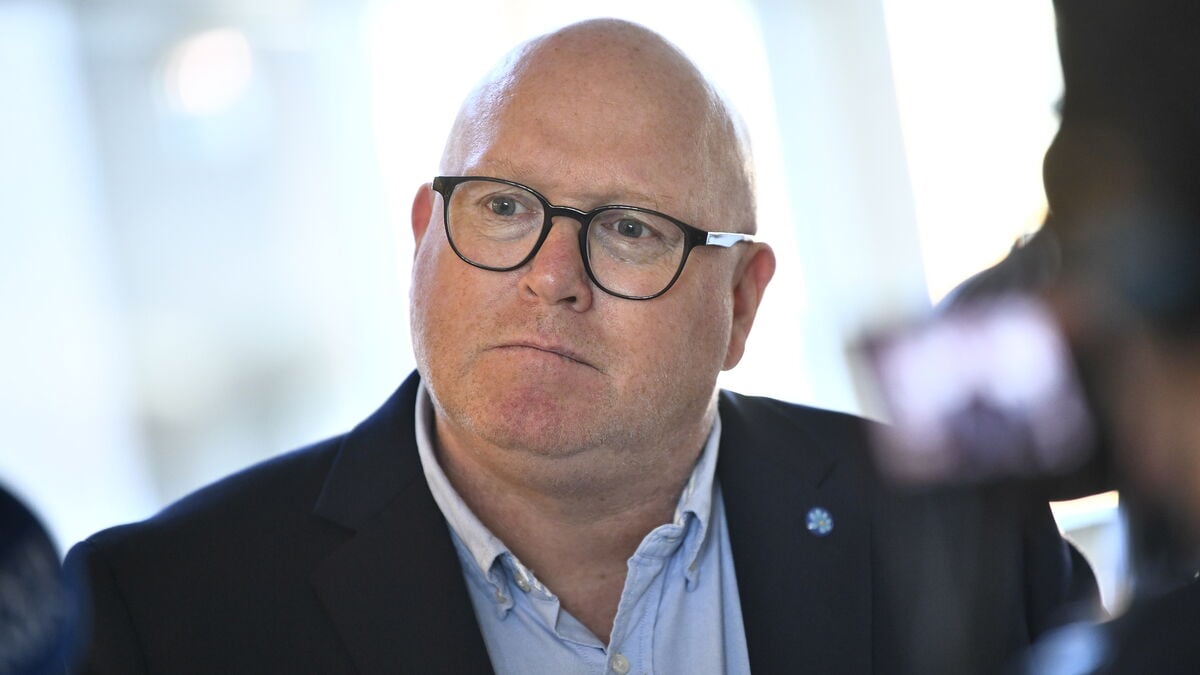 Sweden Democrats seek tougher laws on illegal labor, call it modern slavery