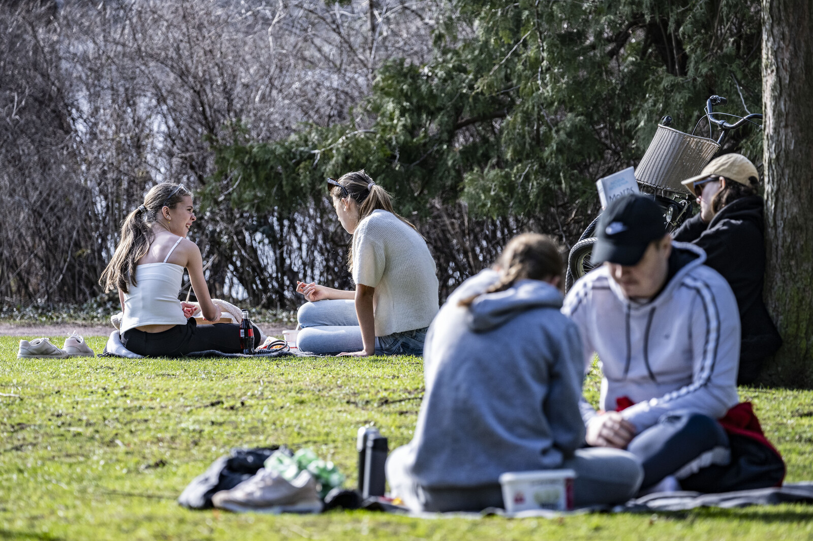 Sweden Braces for Year's Warmest Day Before Cold Snap Hits