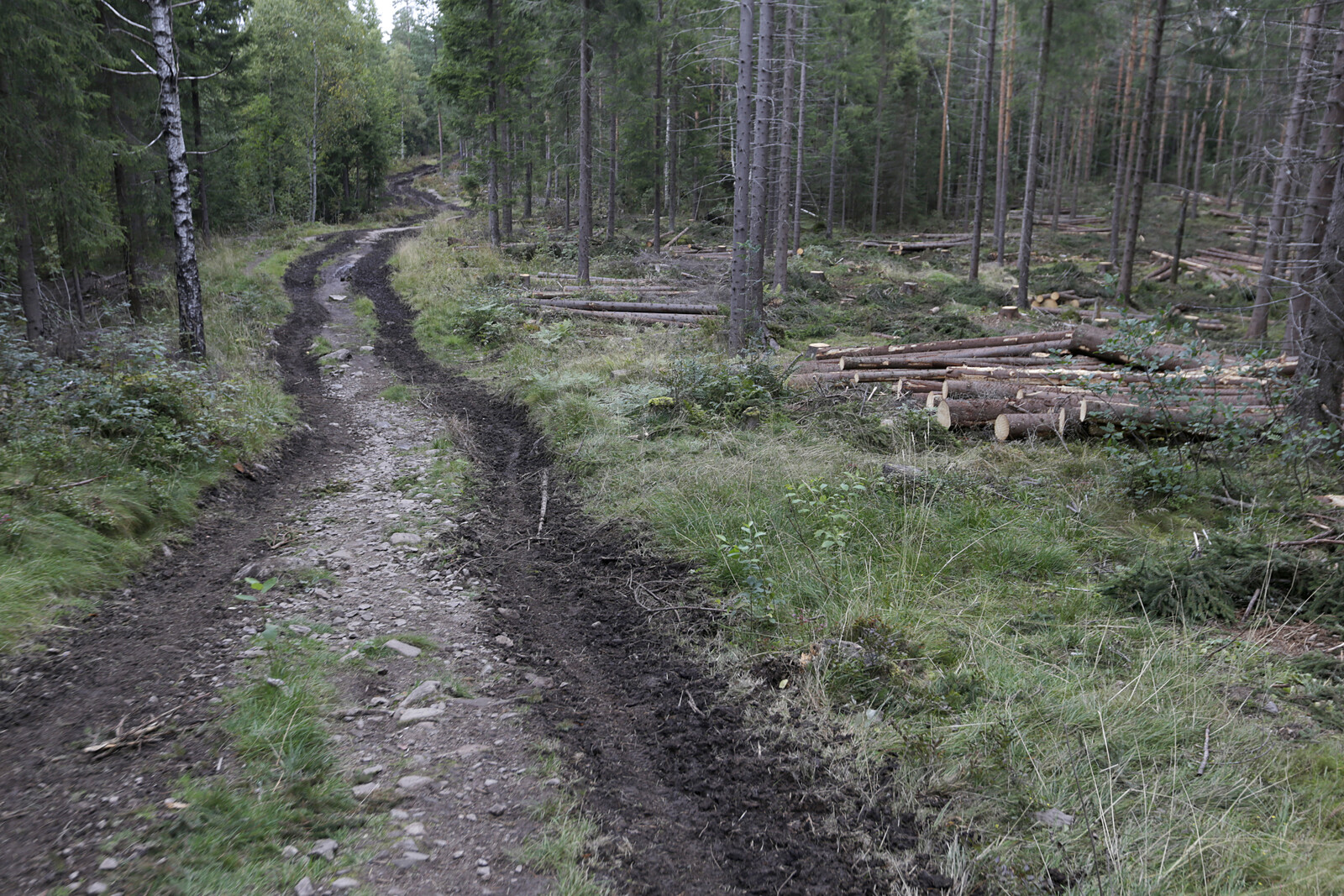 Sweden is failing to meet climate targets