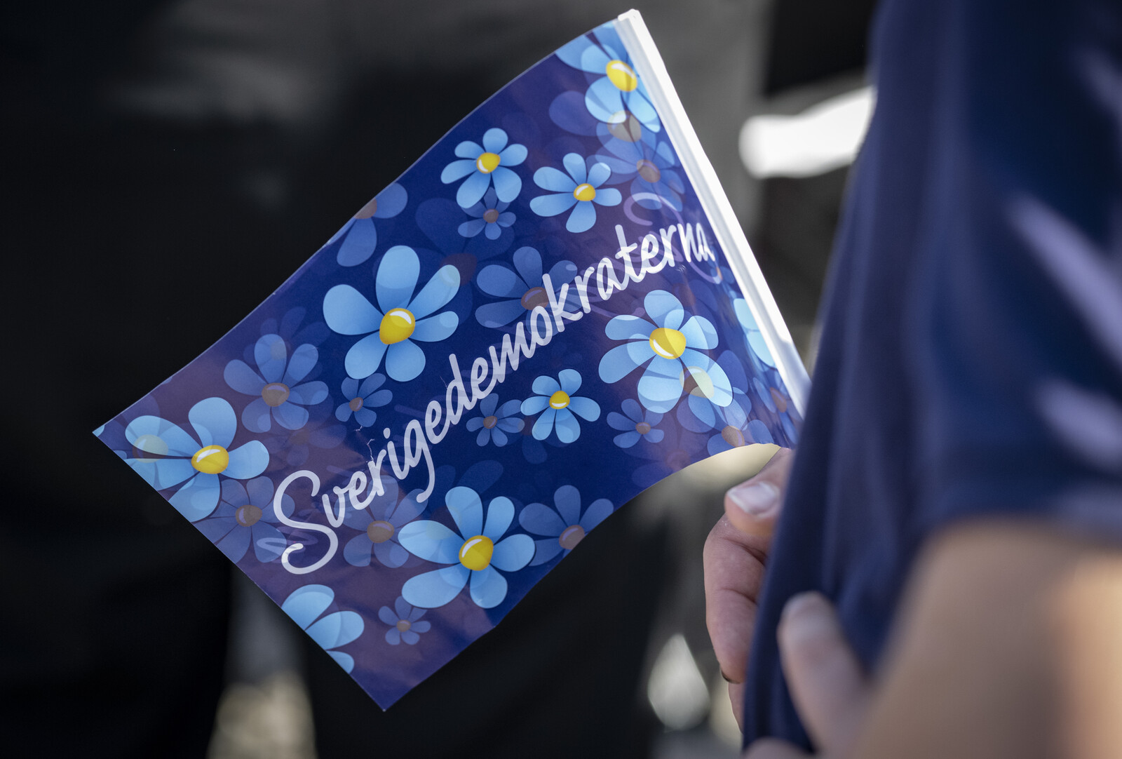 Swedish MP under Investigation for Controversial Social Media Activity