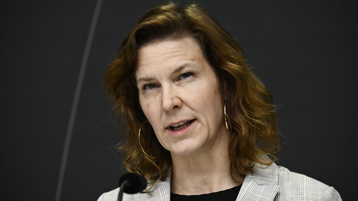 Swedish minister forced to take refuge during Russian attacks on visit to Ukraine