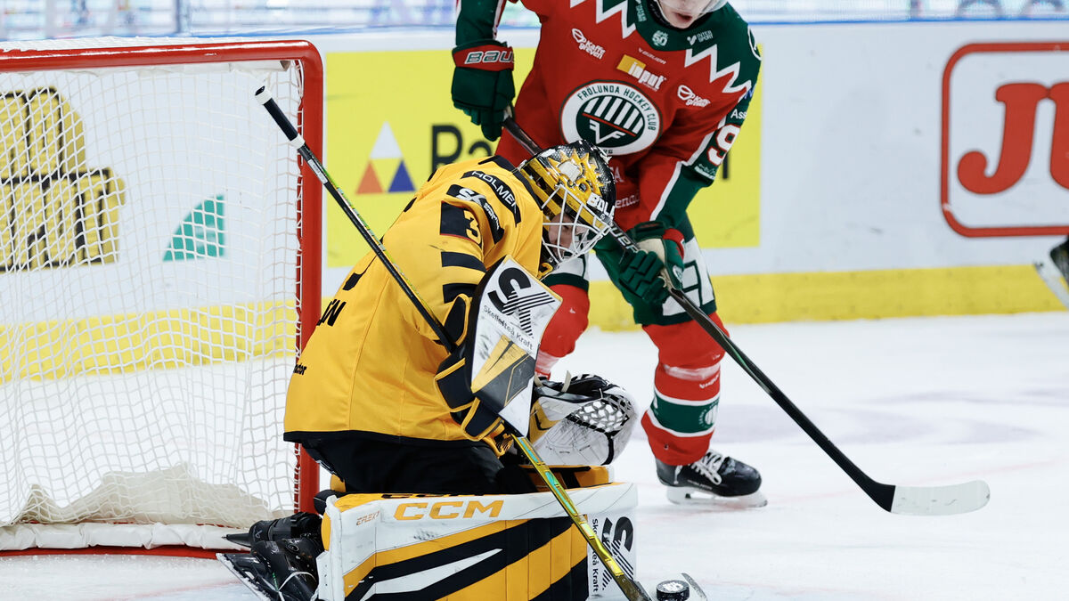 Strauss Mann makes SHL history