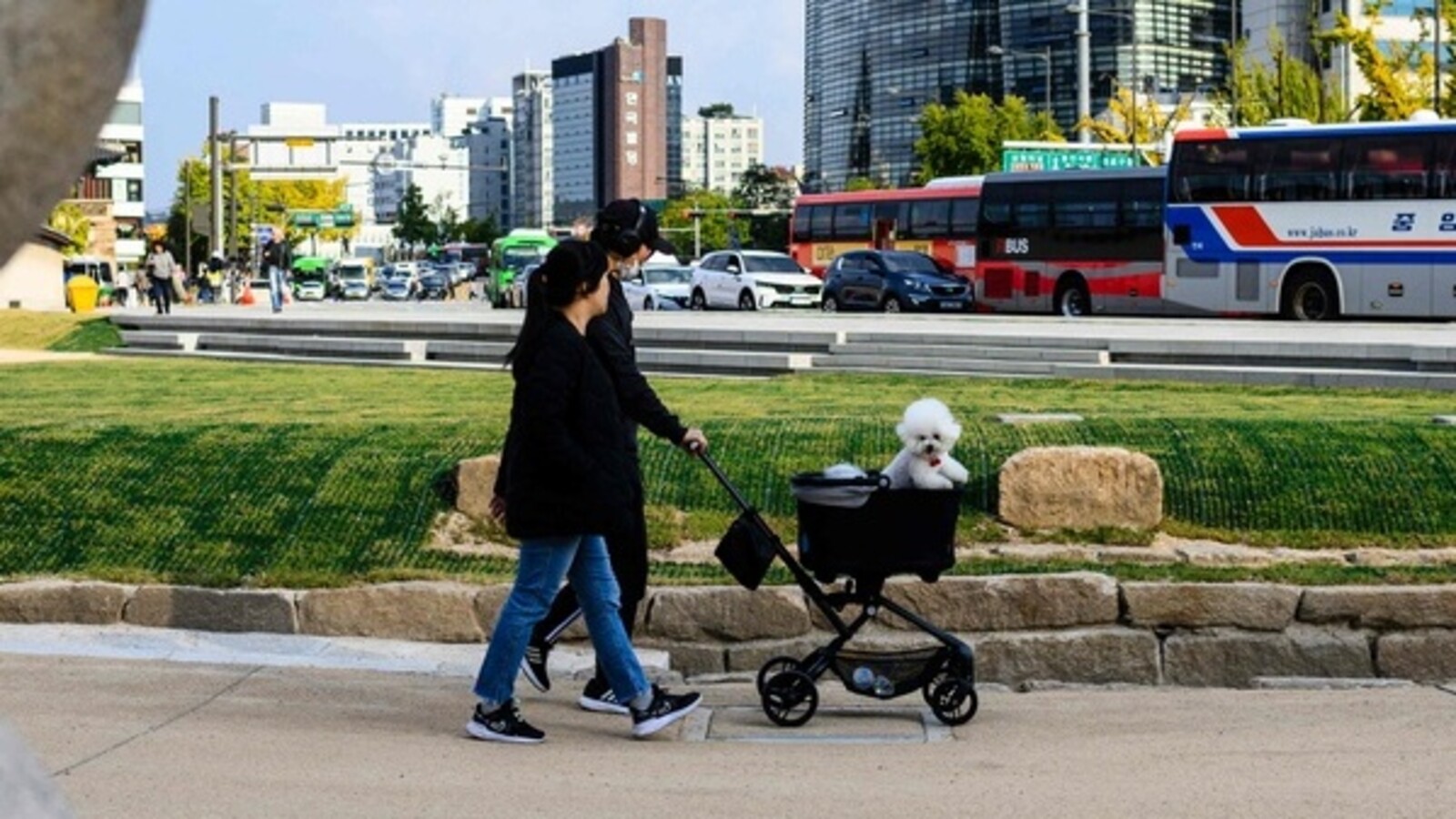 More dog strollers are being sold than for children
