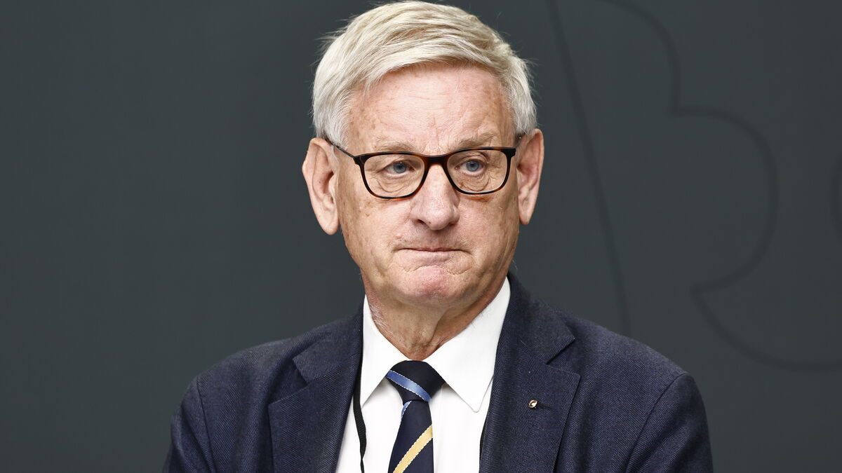 Bildt: Europe is trying to