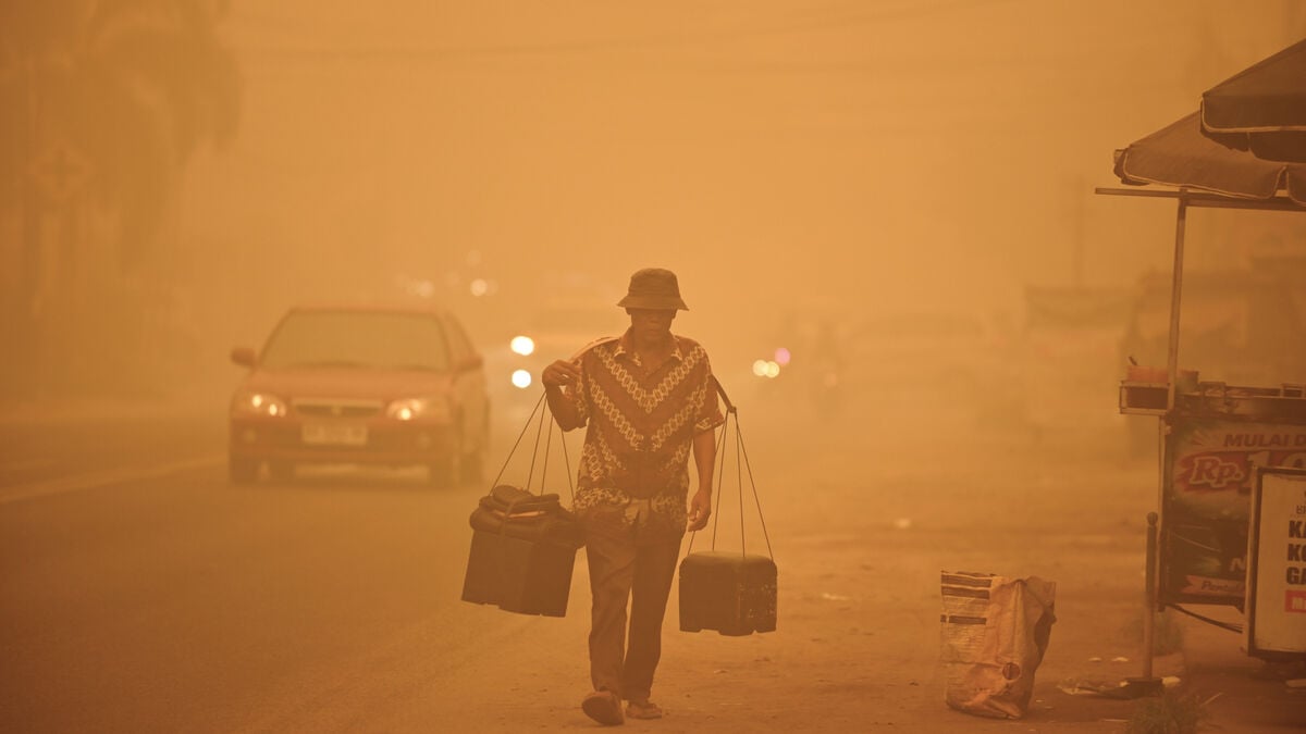 Air Pollution From Fires Killed