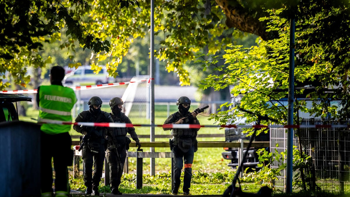 Four Swiss and one German wounded in Aarau rave shooting