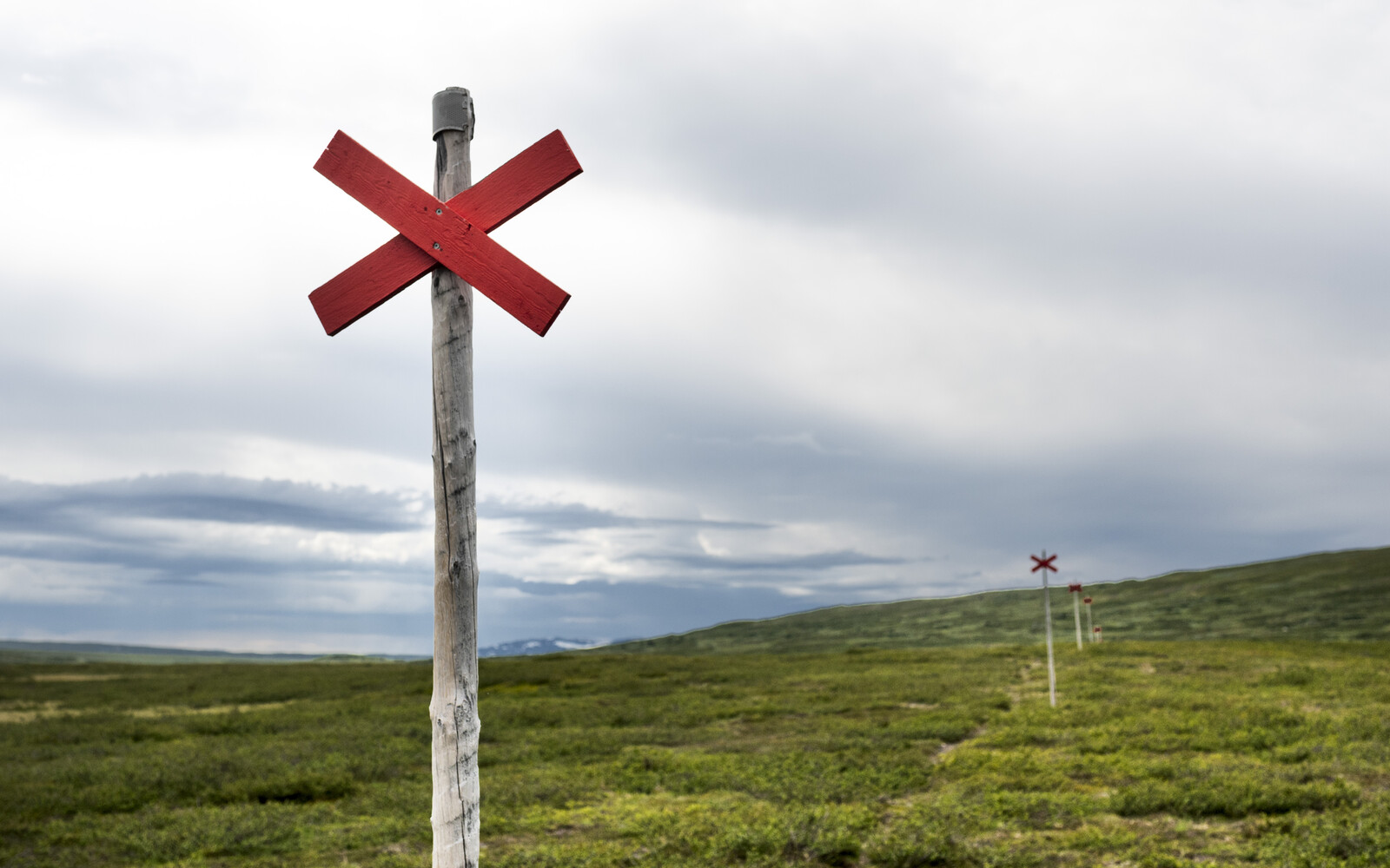 Unusually High Number of Mountain Accident Deaths This Year