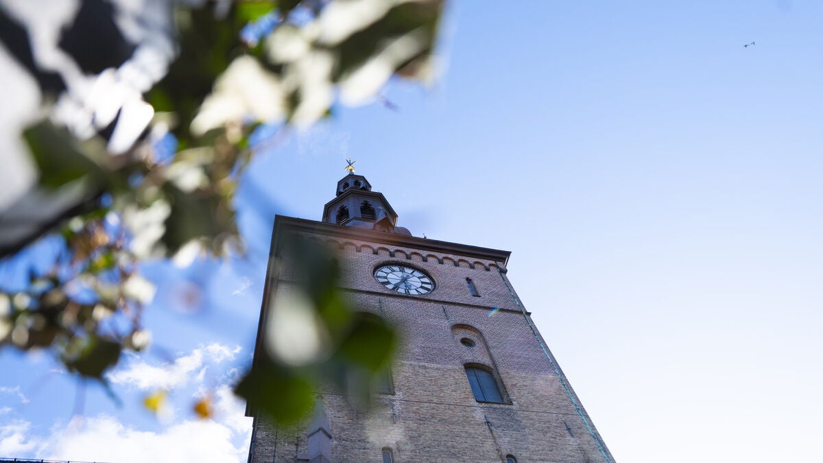 3,500 Norwegian soldiers to take part in King Harald's funeral