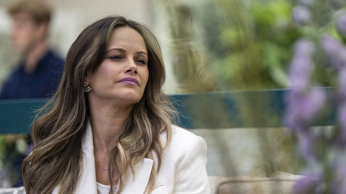 The court confirms: Princess Sofia met Epstein