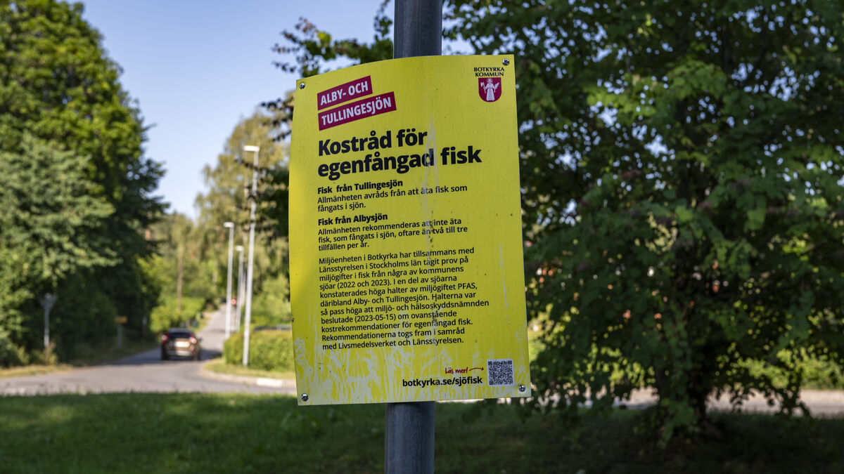 Study Links PFAS Exposure in Pregnancy to Brain Changes in Children