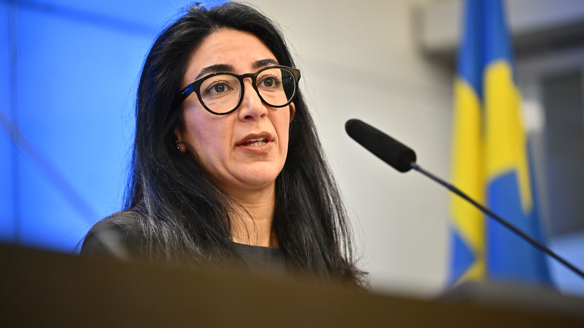 Social Democrats want to combine SFI with vocational training to improve Swedish language education