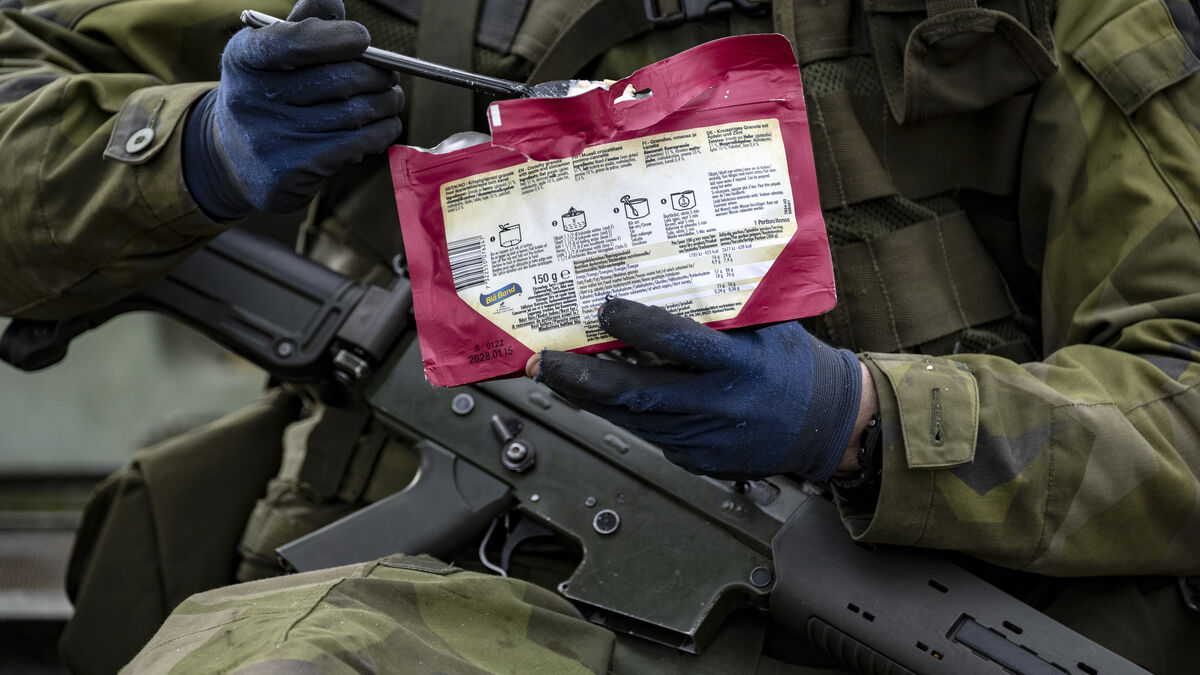 Swedish National Food Agency to procure freeze-dried food for storage in northern Sweden