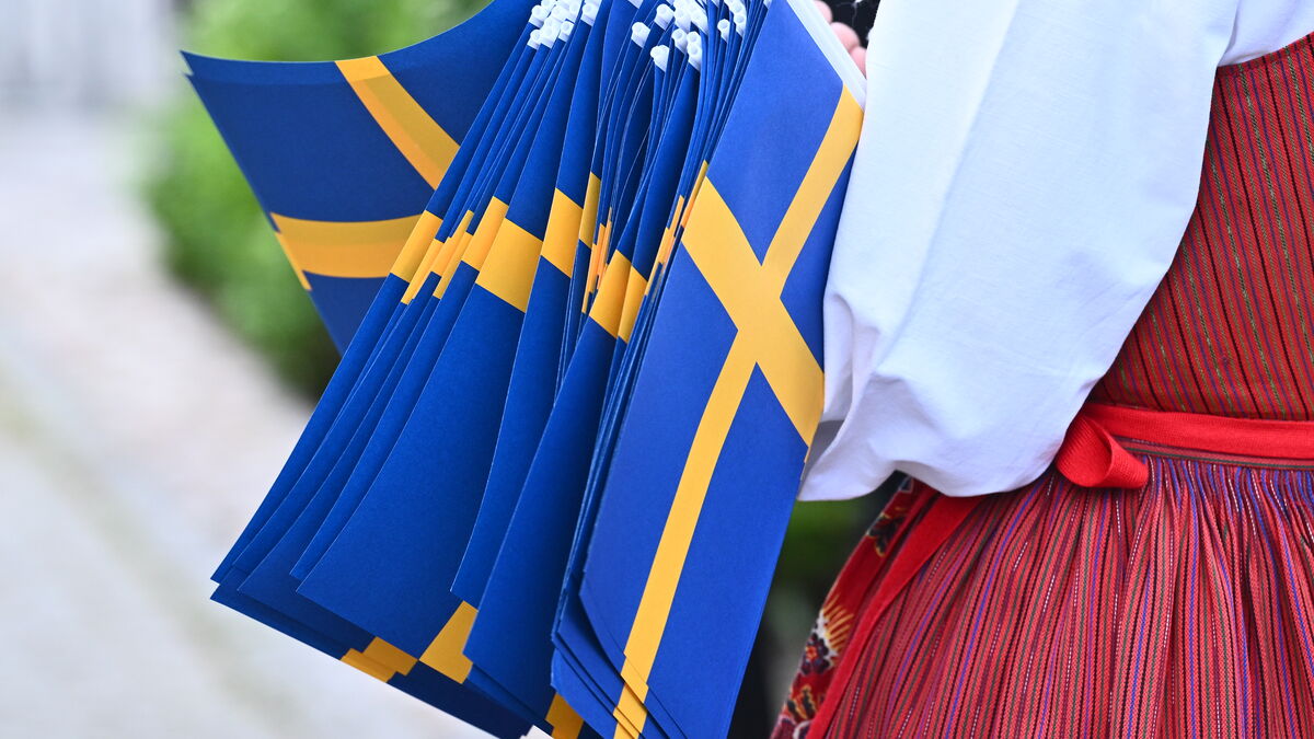 Law Council considers Swedish citizenship proposals