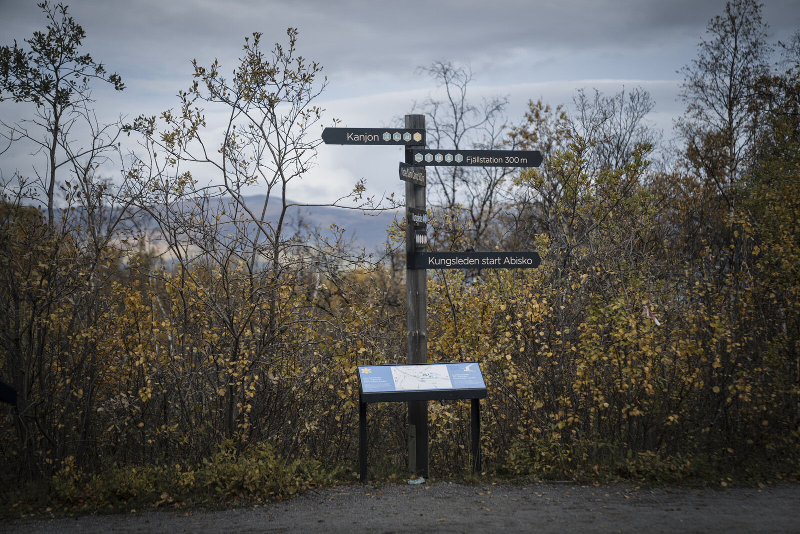 Mountain Hiker Dies After Falling from Cliff Near Abisko