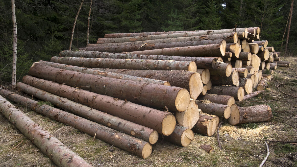 SCA profit slips to SEK