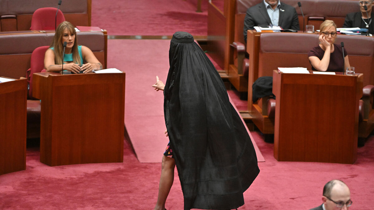 Senator appeared in a burqa
