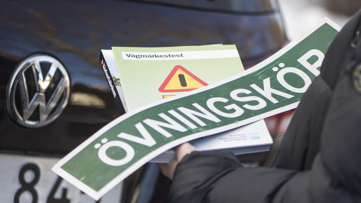 Proposal: Training for practice driving is abolished