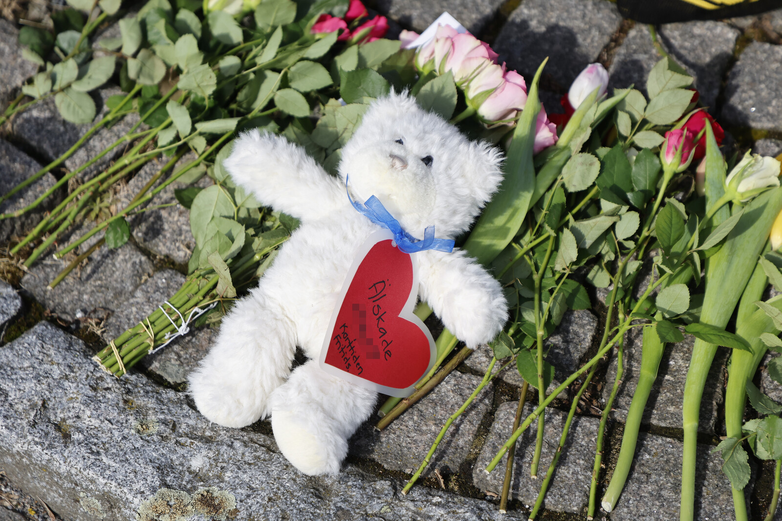 Police tracked wrong phone in hunt for dead girl