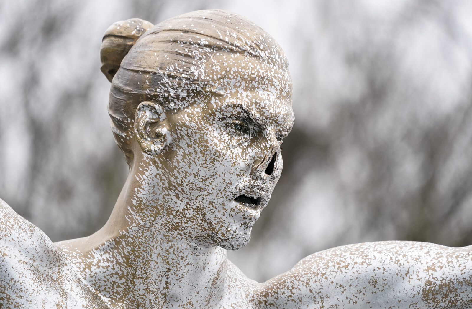 Man Behind Zlatan Statue Vandalism in Malmö Speaks Out