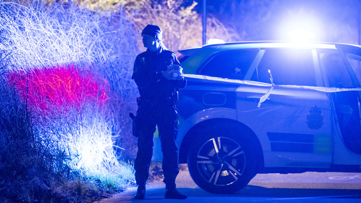 Nearly 300 arrested in Swedish-led operation targeting digital recruitment of violent crime