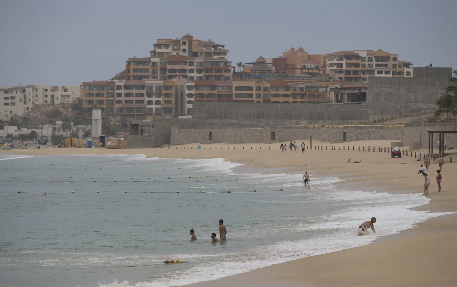 Toxic "blue dragons" on tourist beach - warning against bathing