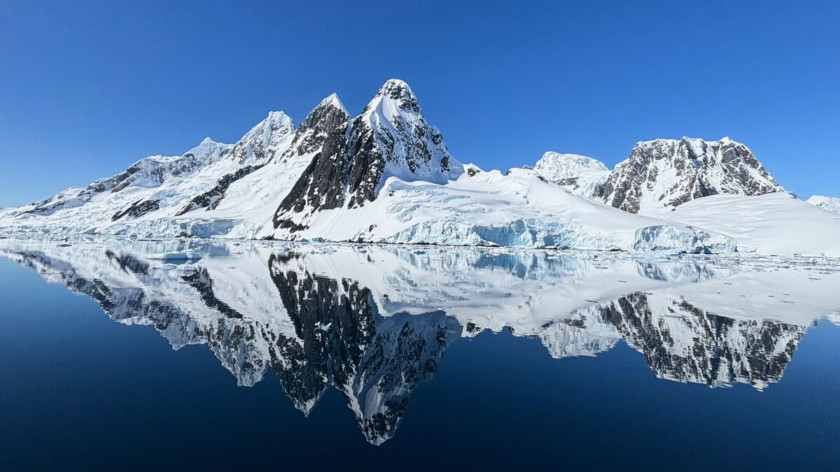 Antarctica’s first dinosaur fossil identified