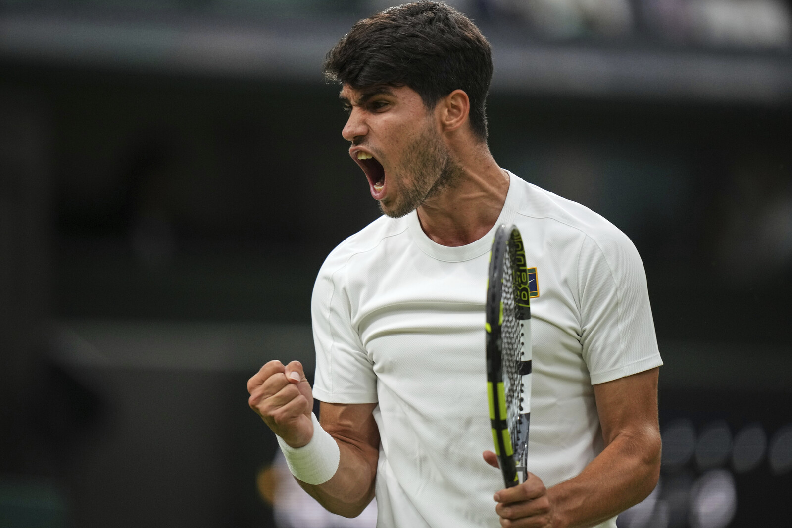 Carlos Alcaraz Advances to Wimbledon
