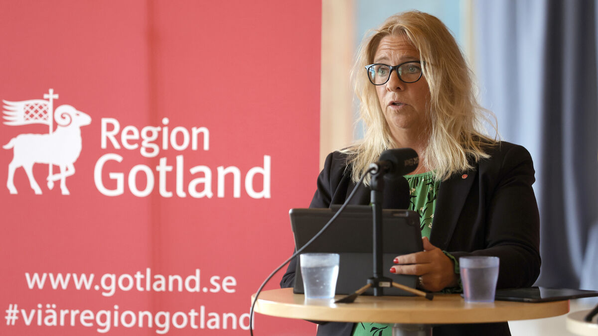 Meit Fohlin declines Riksdag seat,
