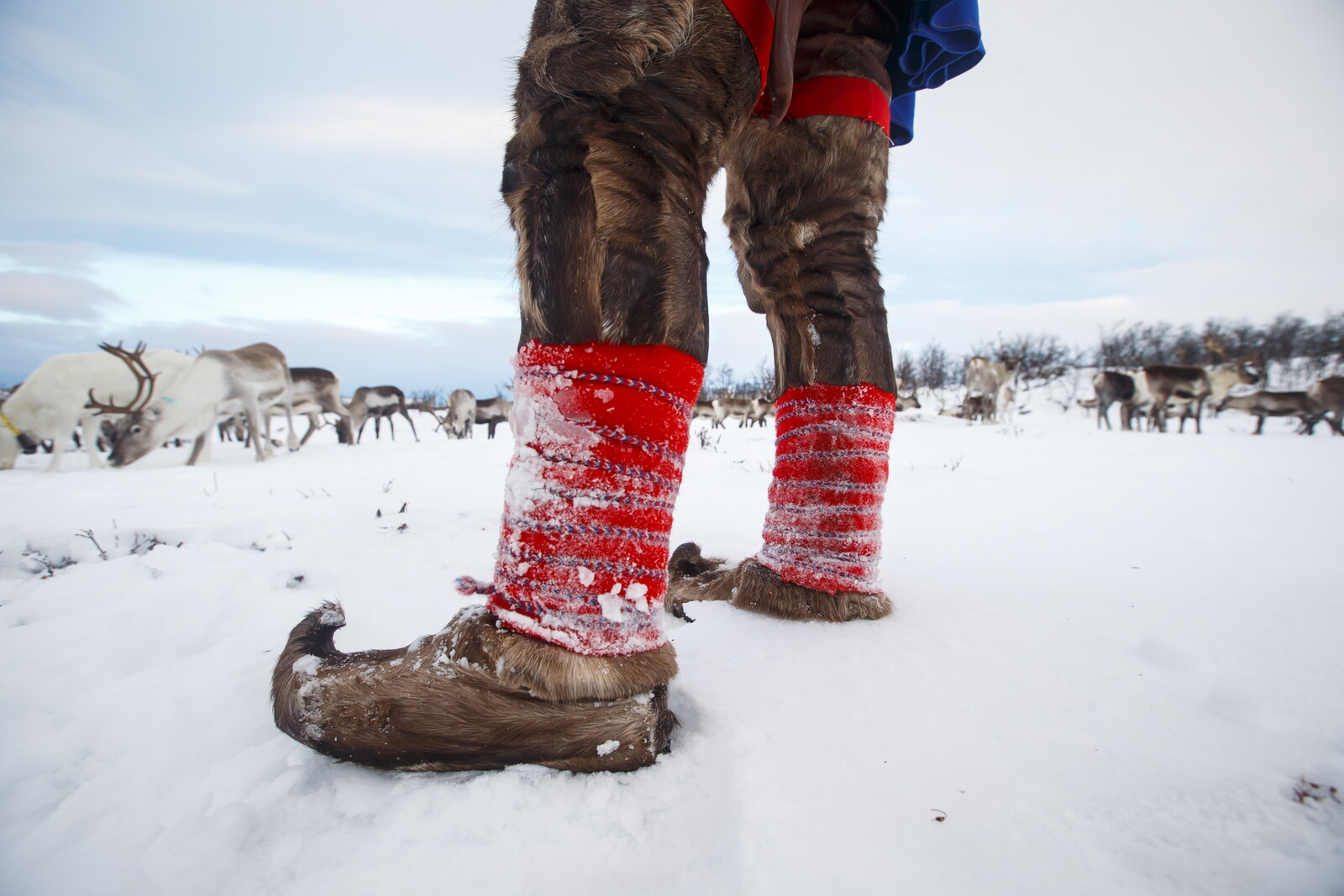 Norway to the Sami: Apologize
