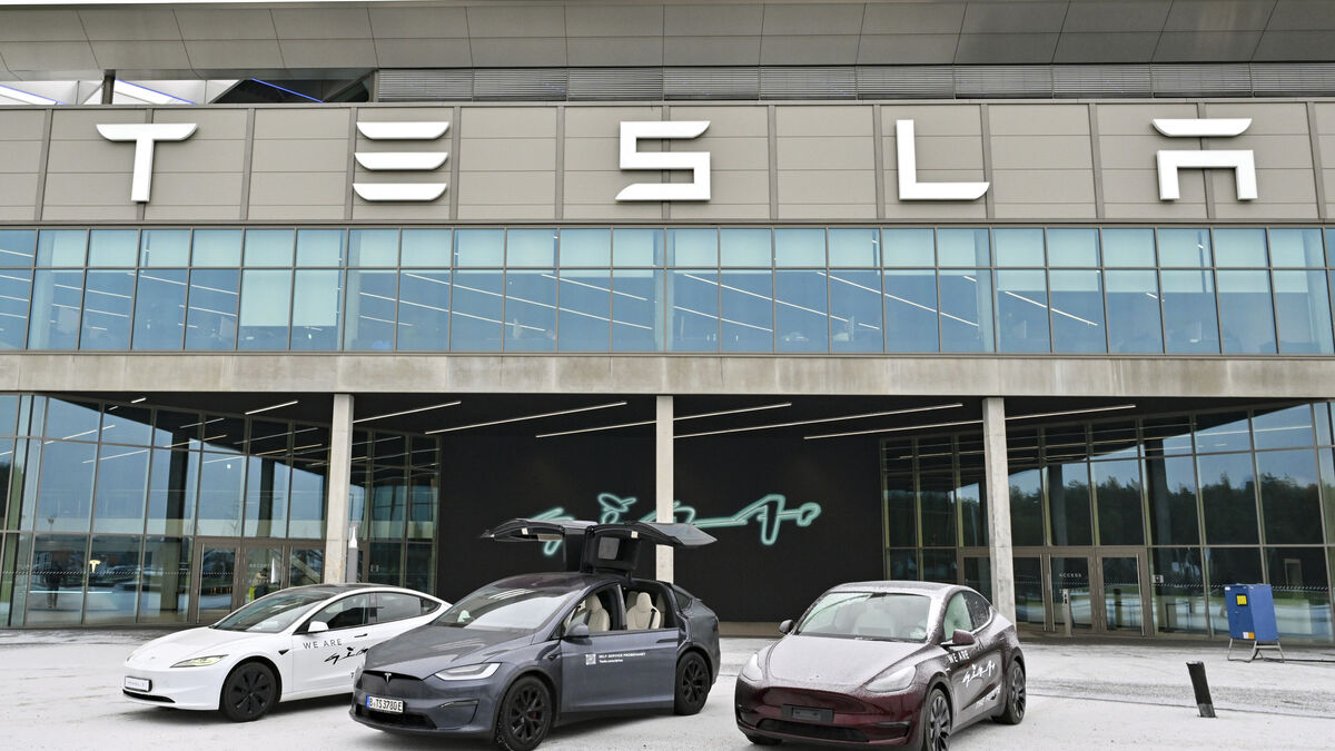 Tesla to increase production at German Grünheide factory to target new markets