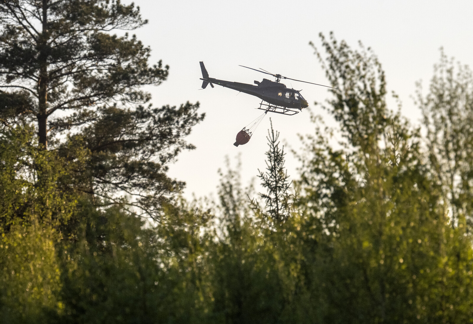 MSB Deploys Record Number of Helicopters for Forest Fires
