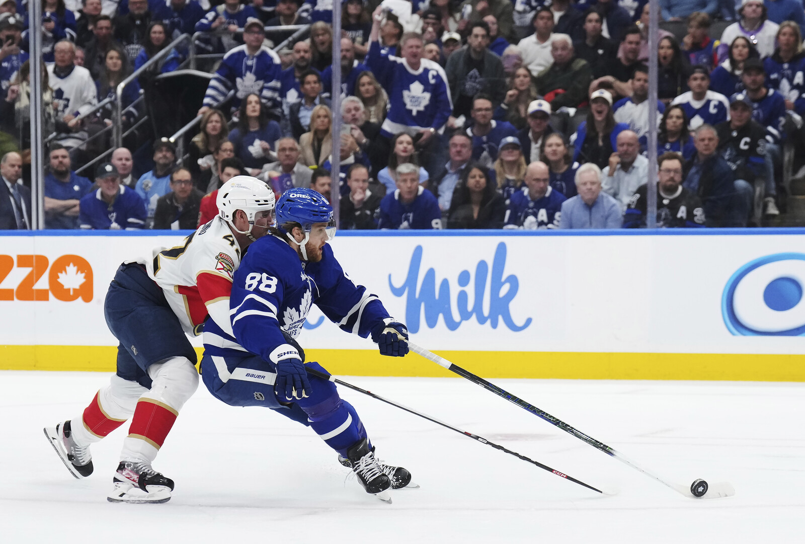 Nylander Could Join World Championship After Toronto's Playoff Exit