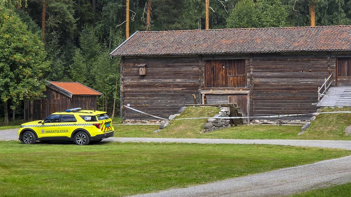 Several injured as barn ramp collapses at wedding in Norway