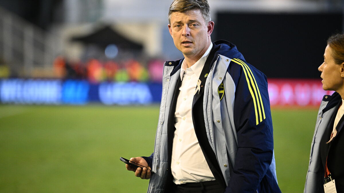 Sweden Considers Interim Coach After Tomasson's Dismissal