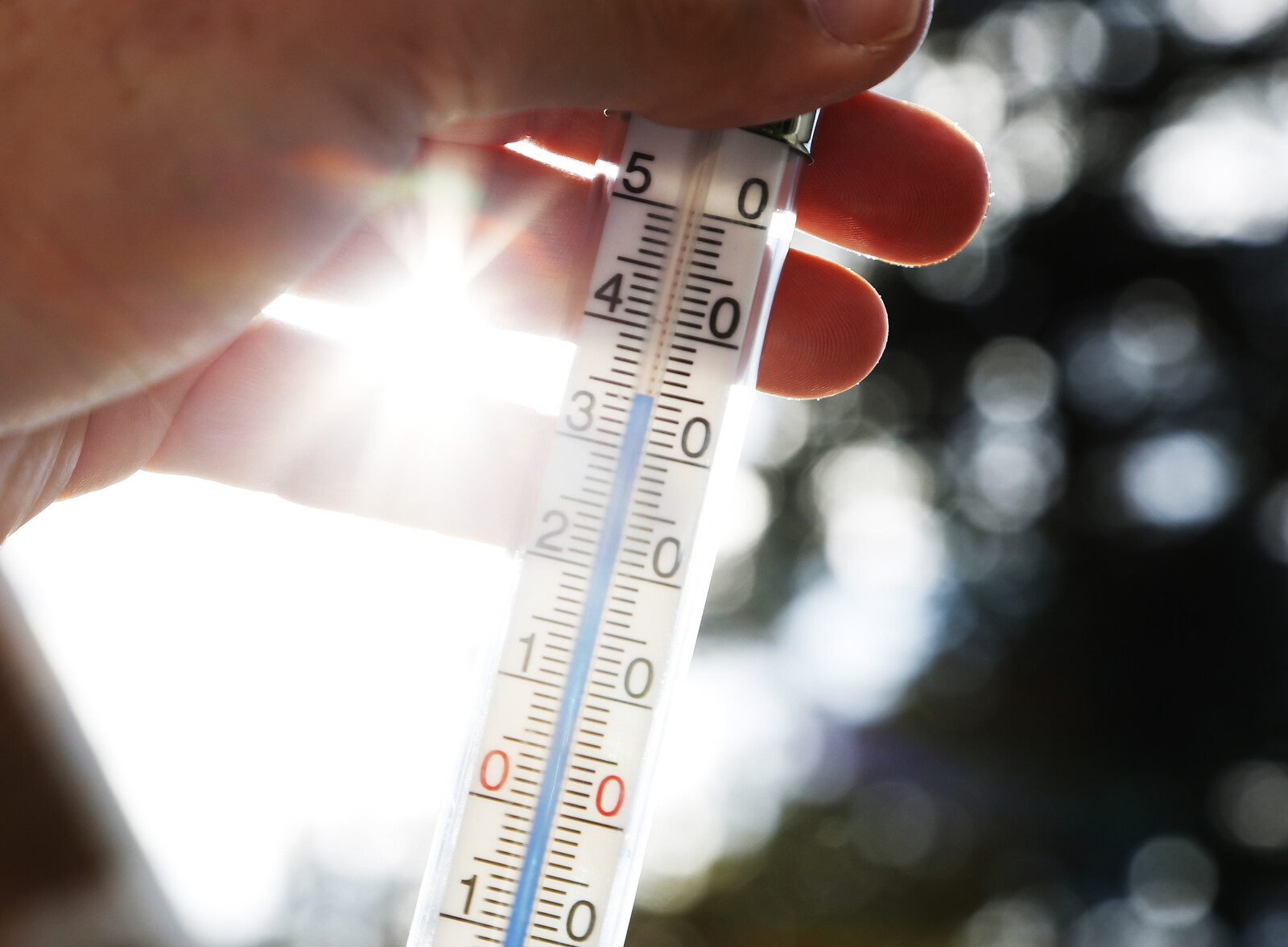 Study Predicts Intensifying Heatwaves in