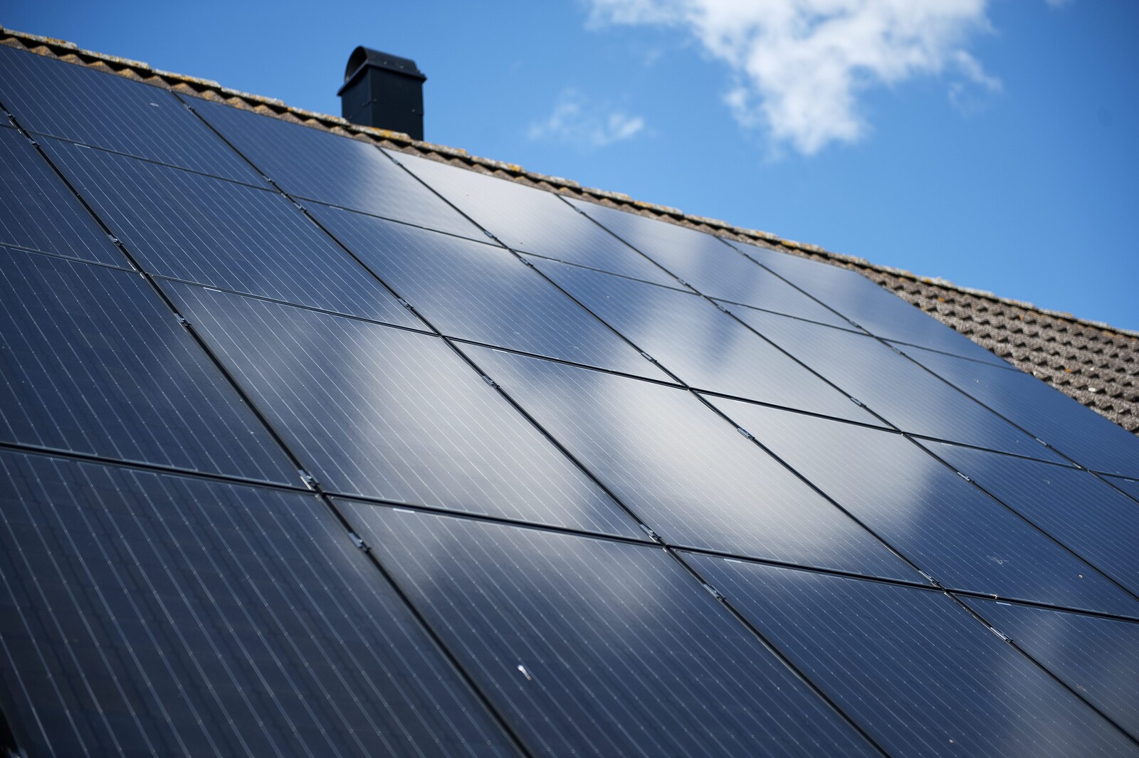 "Scrap subsidies for solar power"