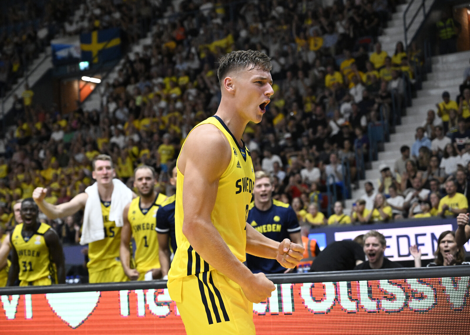 NBA Stars Larsson and Klintman