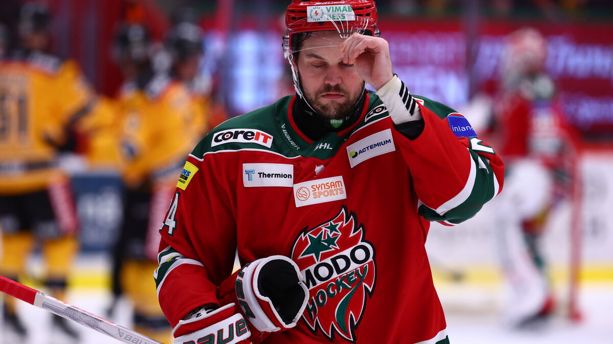 Modo Star Måns Carlsson Has