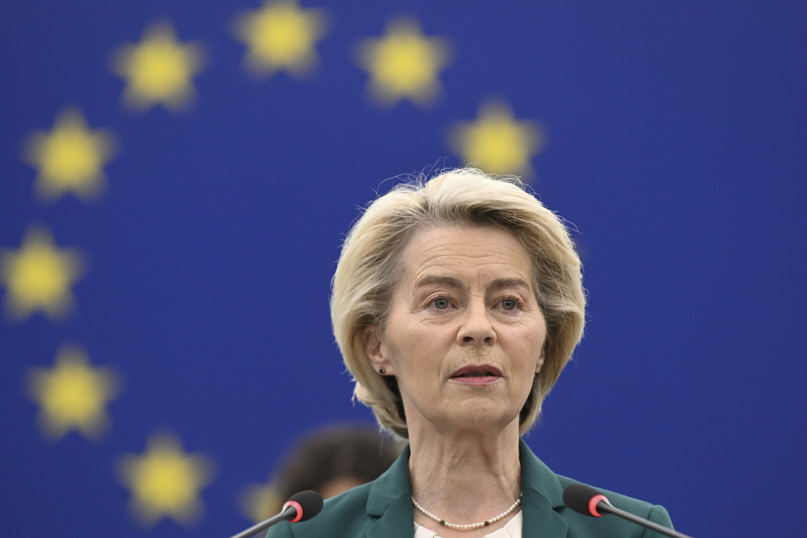 Criticism Arises Over Proposed EU