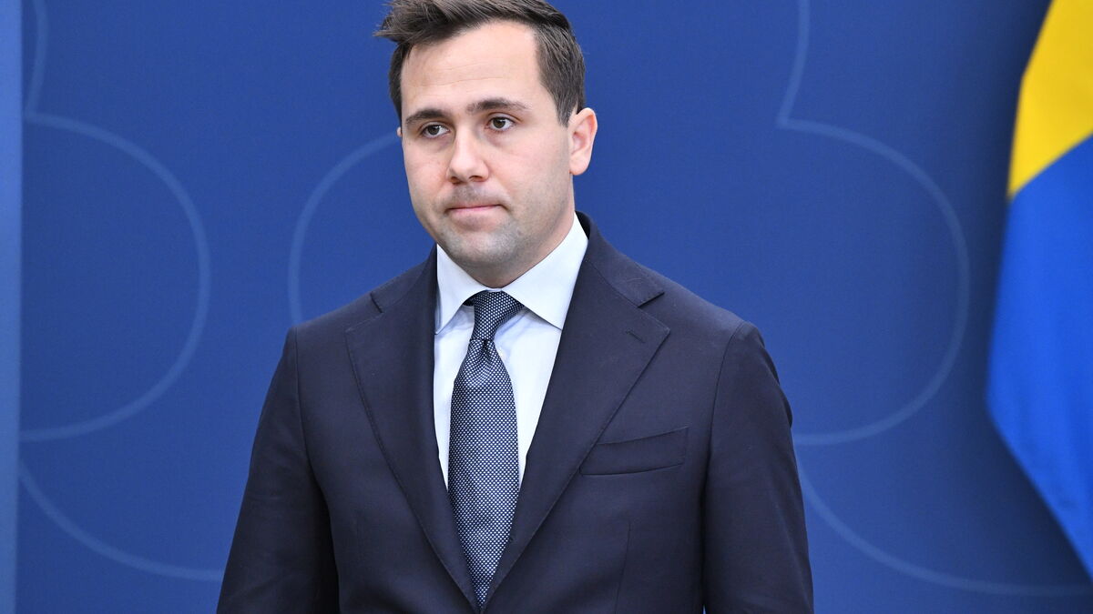 Sweden wants to guarantee more