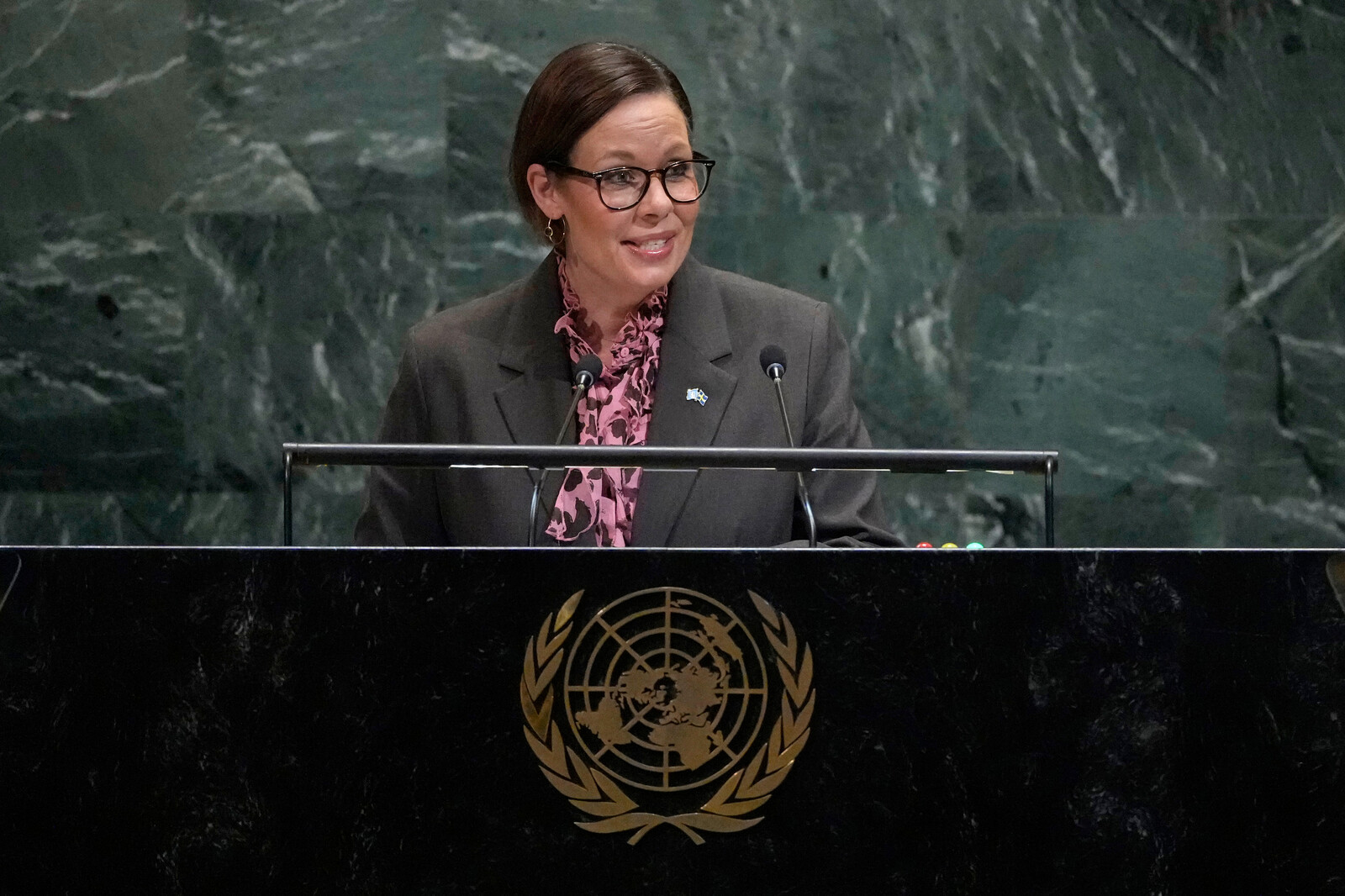 Swedish Foreign Minister Urges UN
