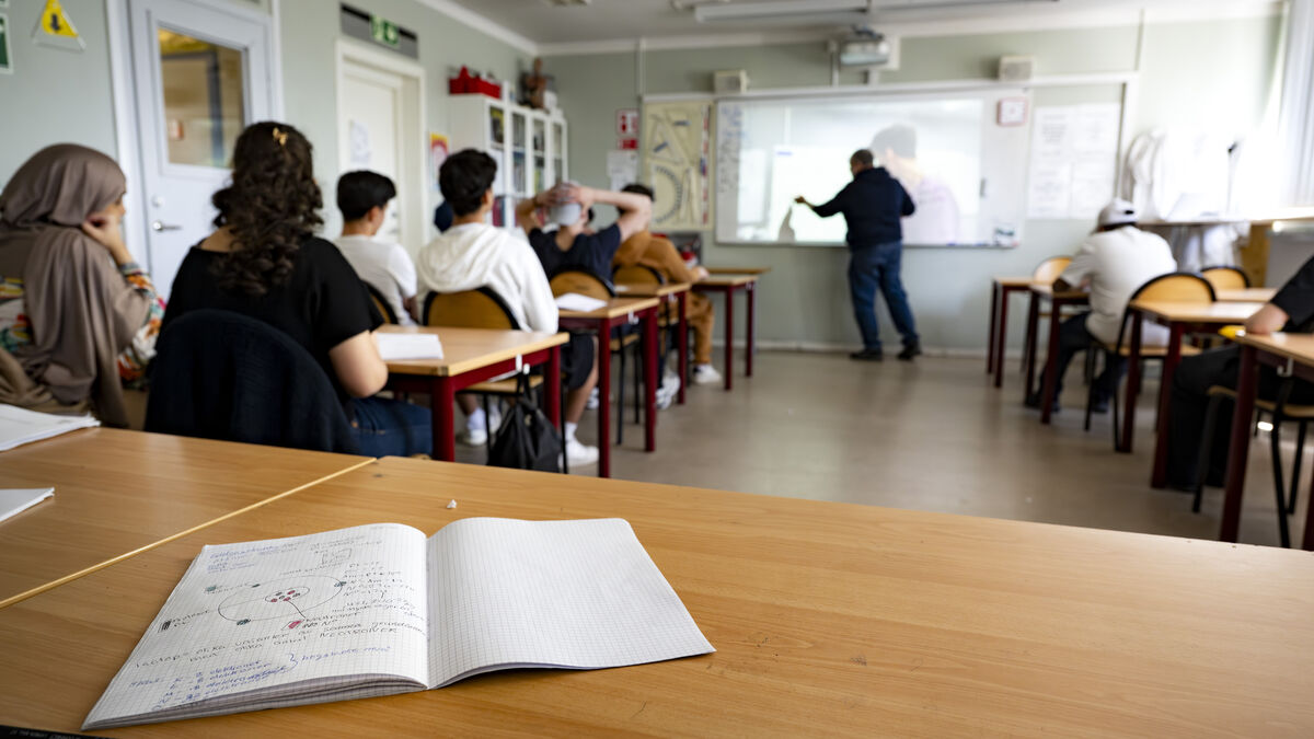 School staff are being checked for more crimes as Riksdag expands background checks